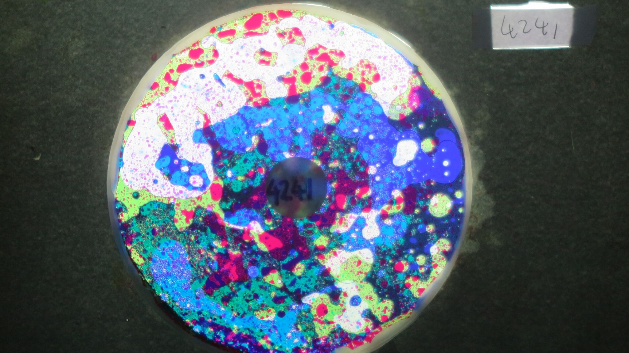 BV4241 bubble vision oil wheel